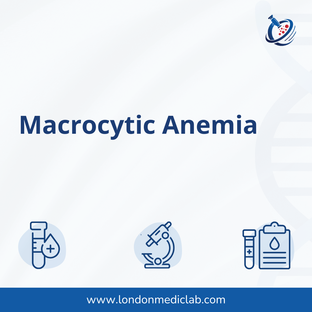 LML-Blood-Test-Thumbnail-_26_ Macrocytic Anemia
