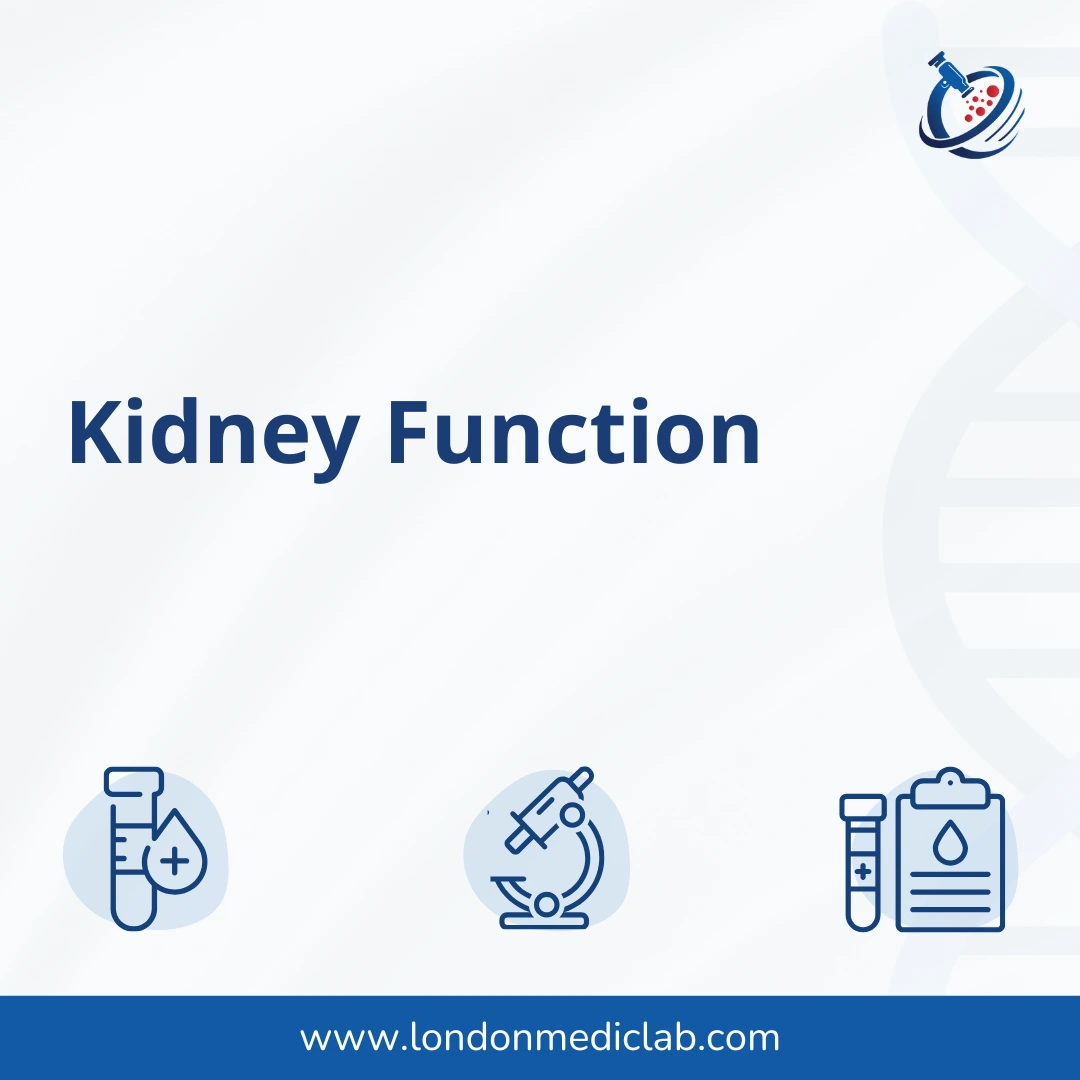 LML Blood Test Thumbnail (10) Kidney Function
