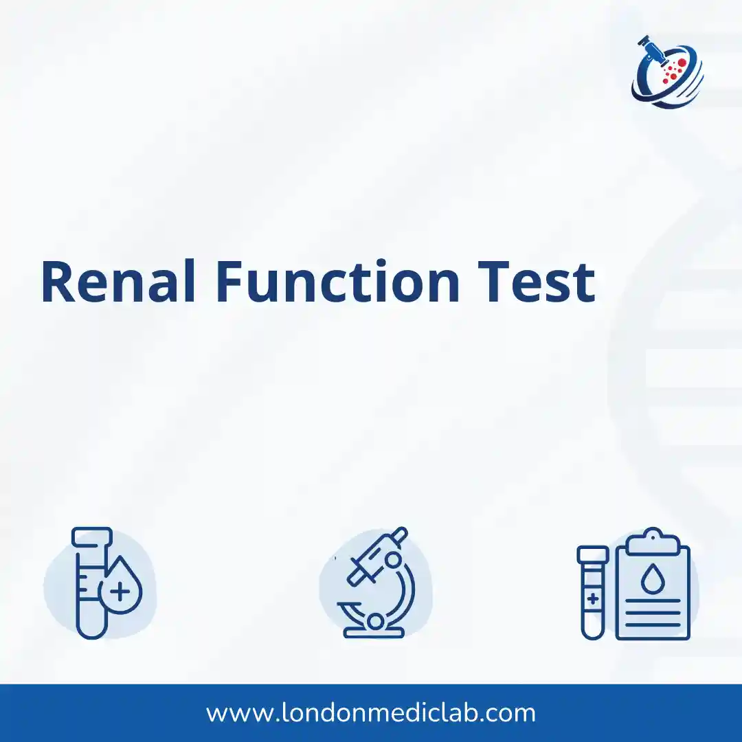 47 copy Renal Function Test